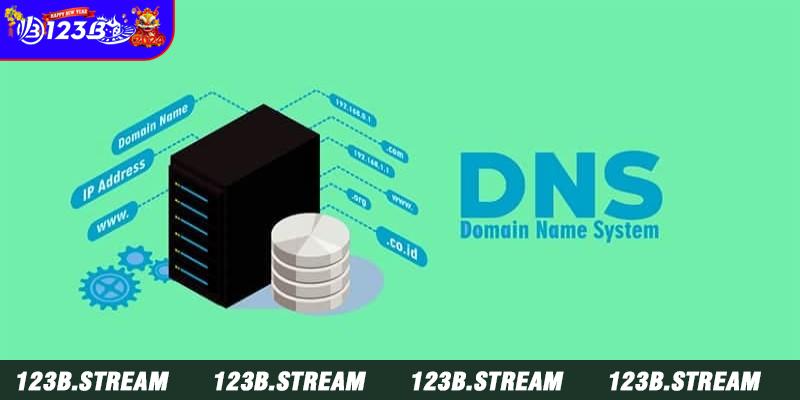 Đổi địa chỉ DNS khi bị chặn link vào nhà cái 123B